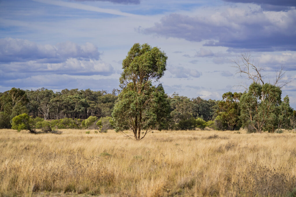 Sold - 1017 Wilga Ridge Road - New Property in Fifield - Real Estate by Ian Simpson