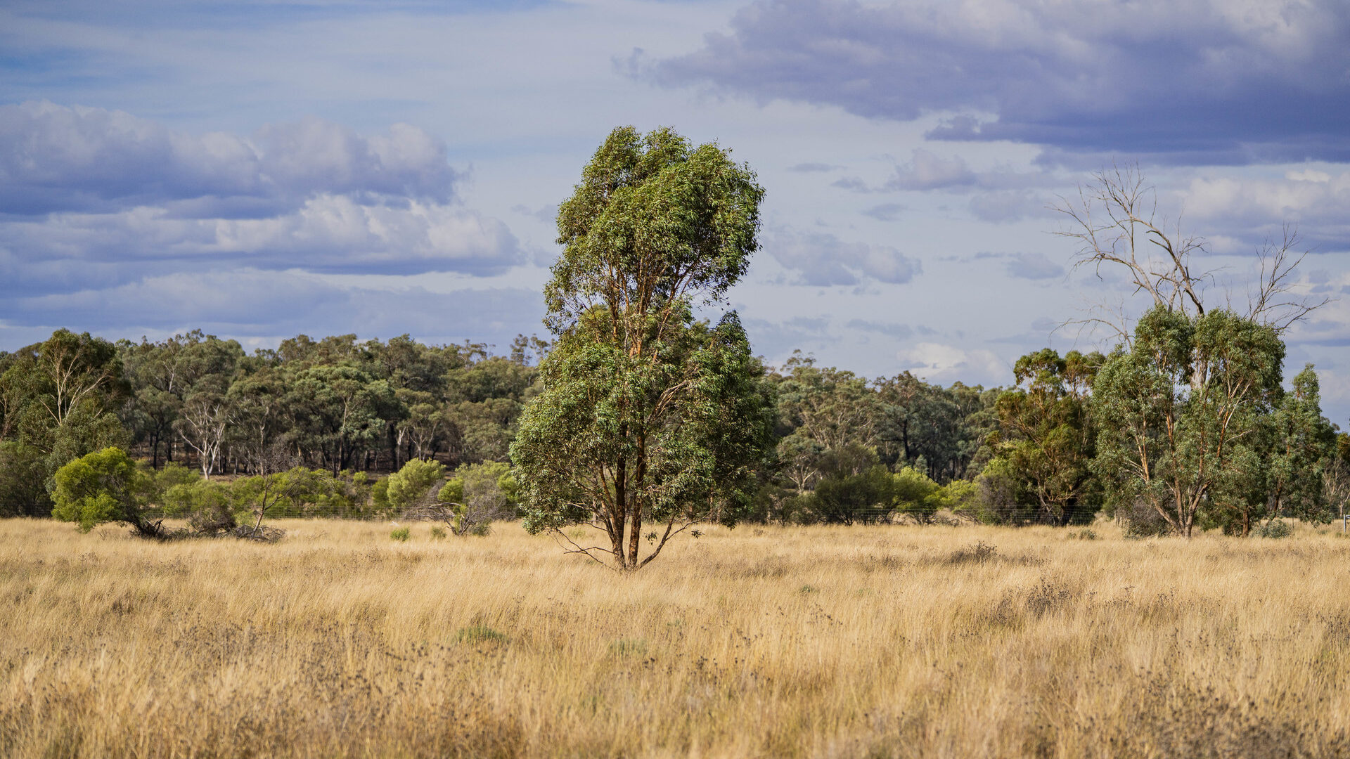 Sold - 1017 Wilga Ridge Road - New Property in Fifield - Real Estate by Ian Simpson