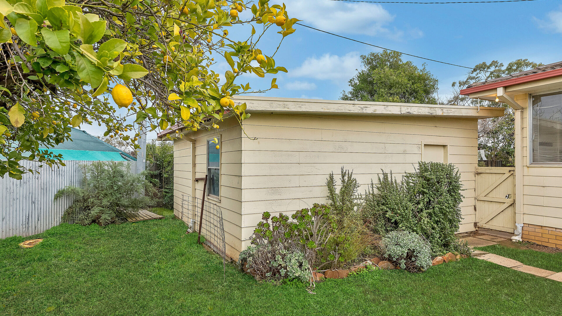 Sold - 14 Melaleuca Avenue - New Property in Leeton - Real Estate by Julie Valenzisi