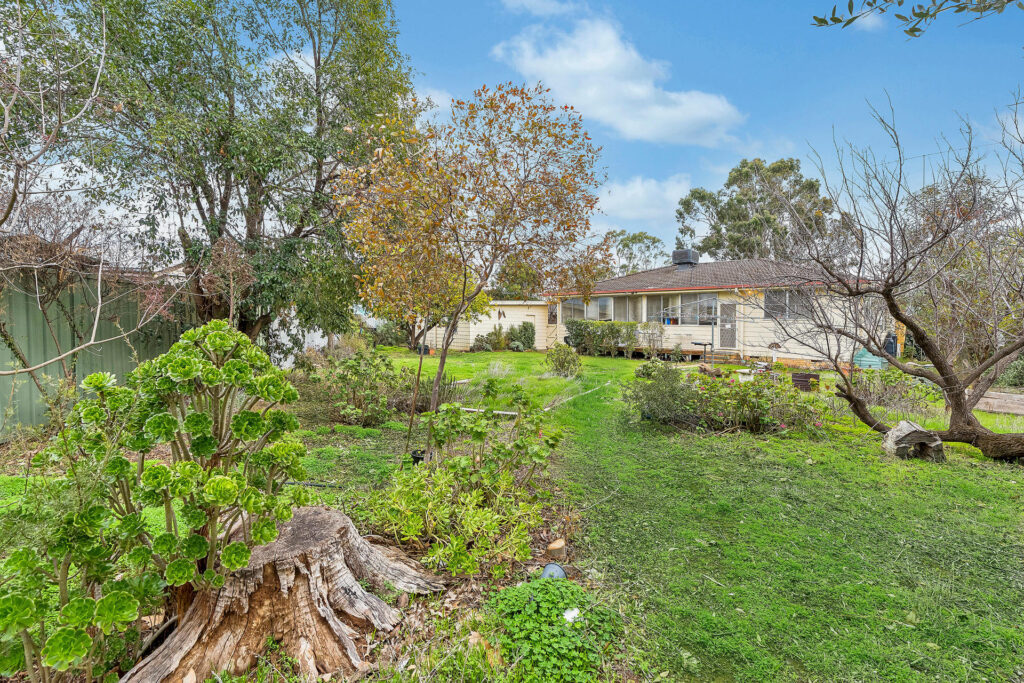 Sold - 14 Melaleuca Avenue - New Property in Leeton - Real Estate by Julie Valenzisi