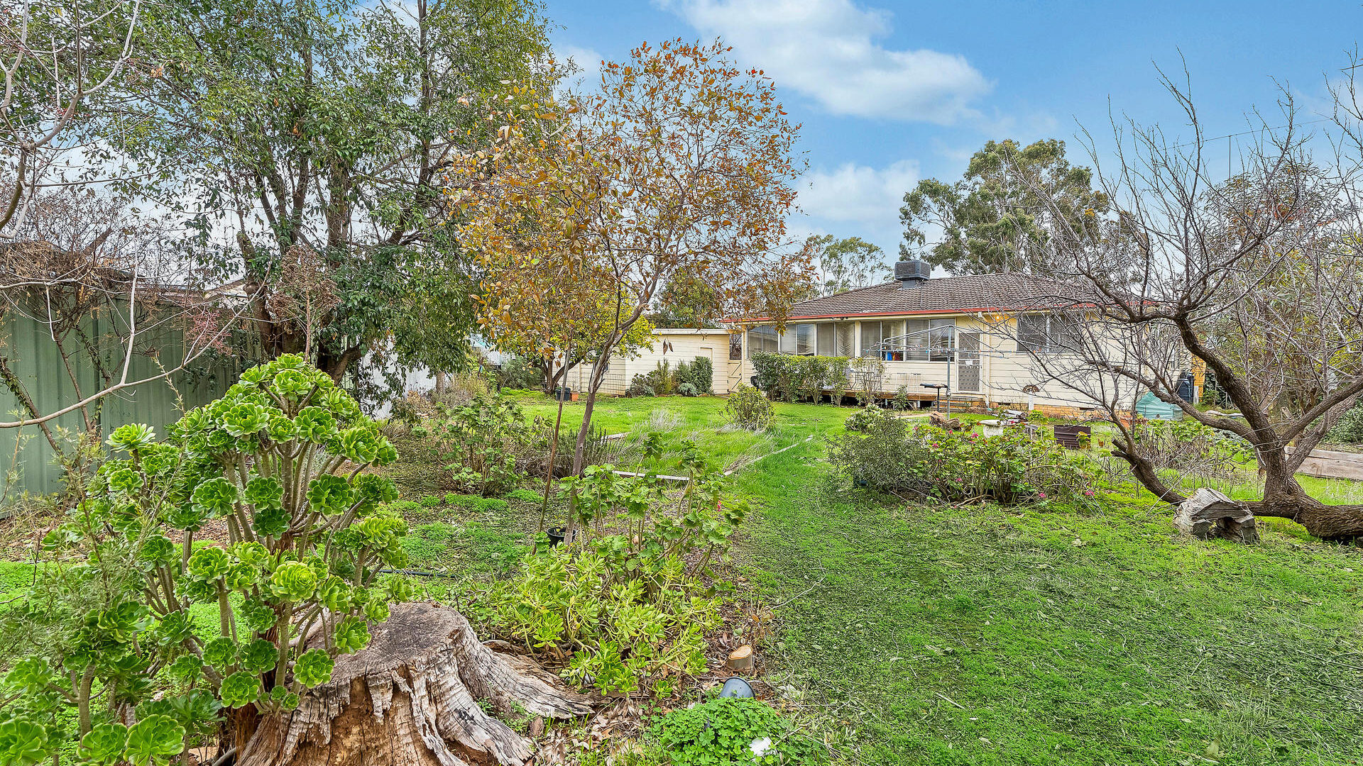 Sold - 14 Melaleuca Avenue - New Property in Leeton - Real Estate by Julie Valenzisi