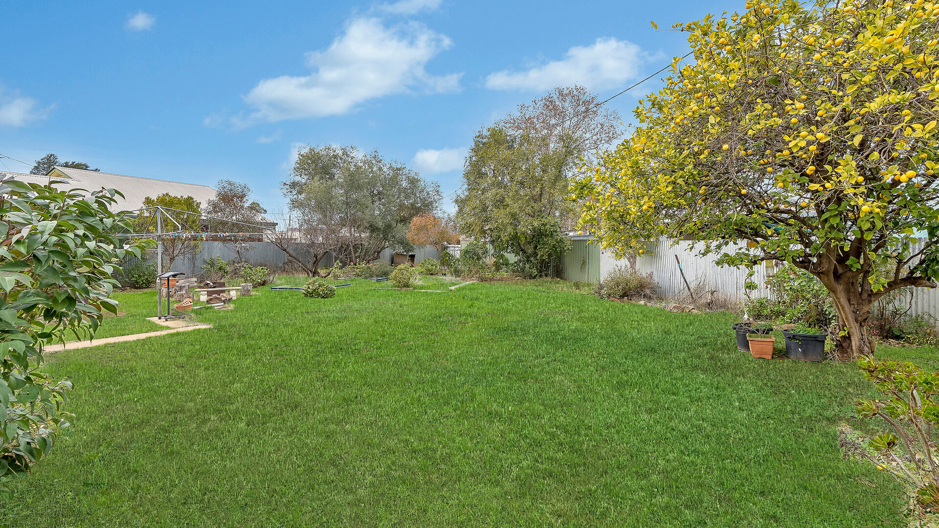 Sold - 14 Melaleuca Avenue - New Property in Leeton - Real Estate by Julie Valenzisi
