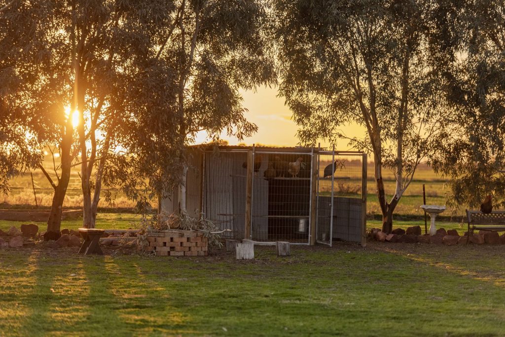 Sold - 323 Koonadan Road - New Property in Leeton - Real Estate by Andrew Pellow