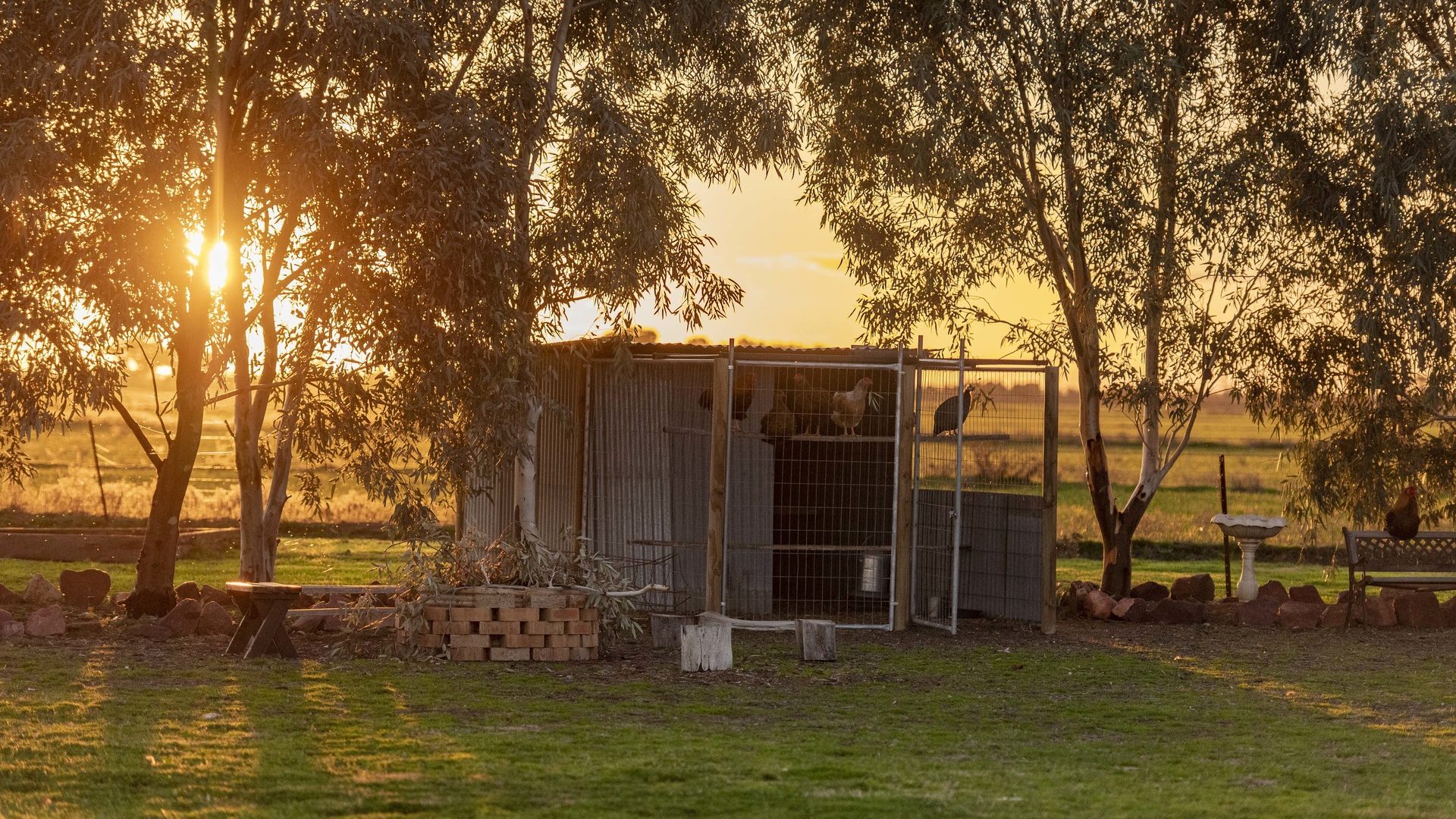 Sold - 323 Koonadan Road - New Property in Leeton - Real Estate by Andrew Pellow