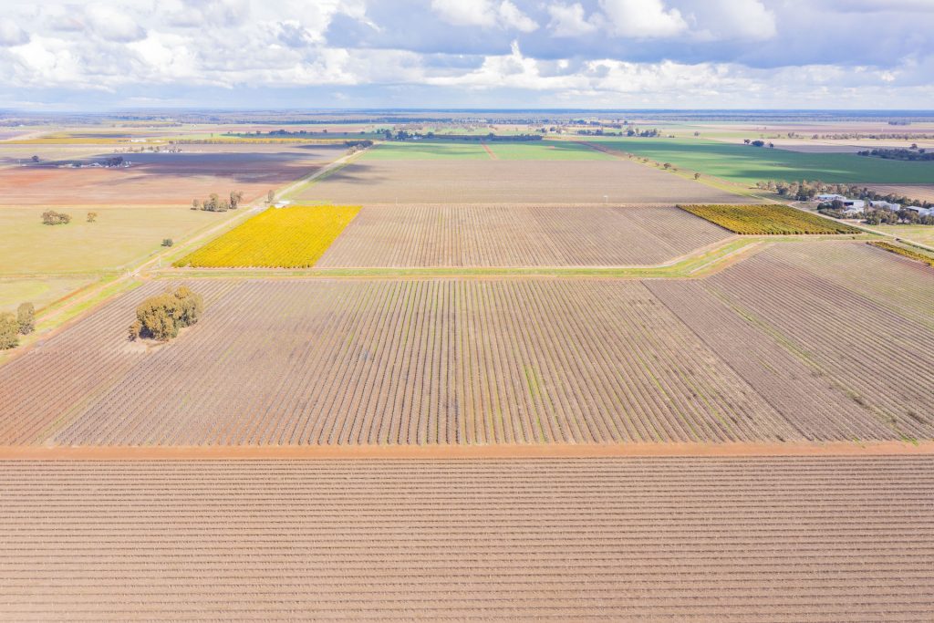 For Sale - 126 & 127 Yate Road - New Property in Leeton - Real Estate by Jason Haines