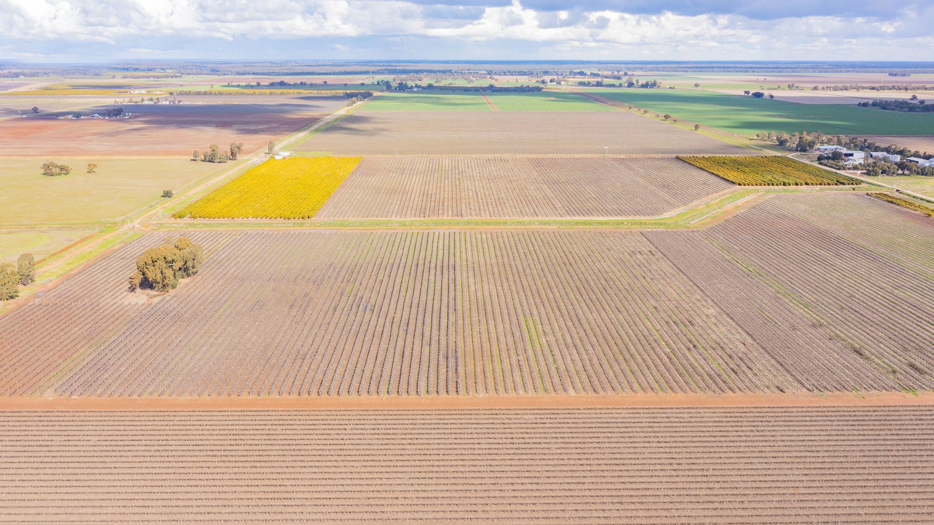 For Sale - 126 & 127 Yate Road - New Property in Leeton - Real Estate by Jason Haines