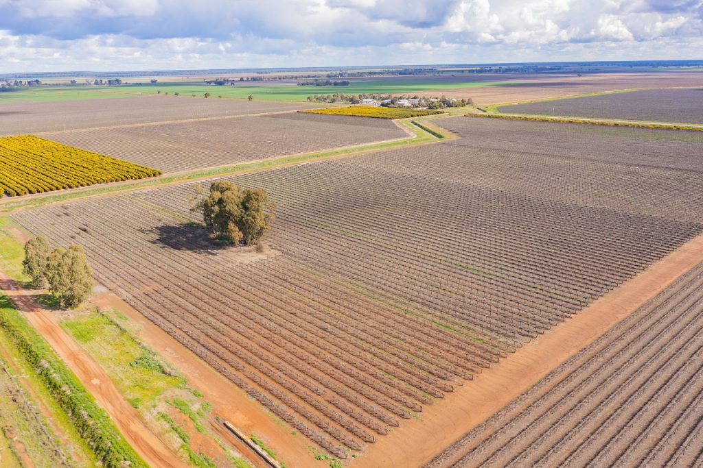 For Sale - 126 & 127 Yate Road - New Property in Leeton - Real Estate by Jason Haines