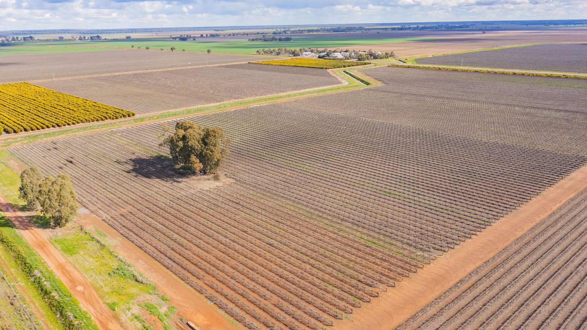 For Sale - 126 & 127 Yate Road - New Property in Leeton - Real Estate by Jason Haines