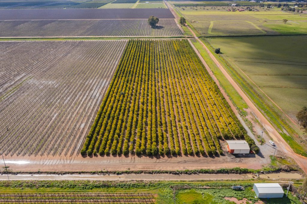 For Sale - 126 & 127 Yate Road - New Property in Leeton - Real Estate by Jason Haines