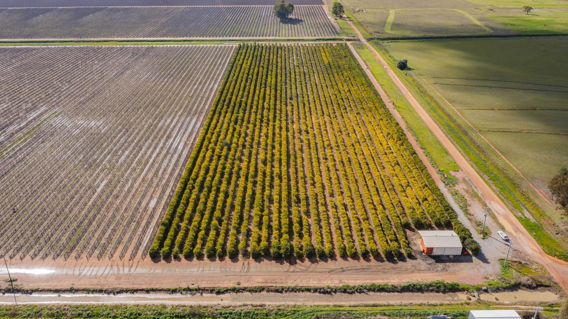 For Sale - 126 & 127 Yate Road - New Property in Leeton - Real Estate by Jason Haines