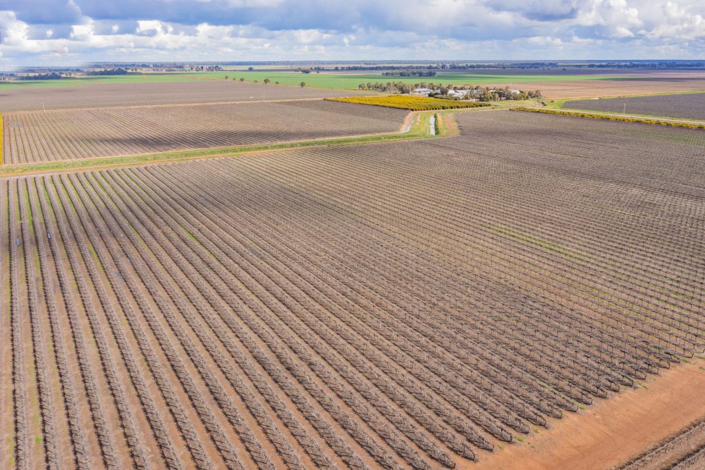For Sale - 126 & 127 Yate Road - New Property in Leeton - Real Estate by Jason Haines