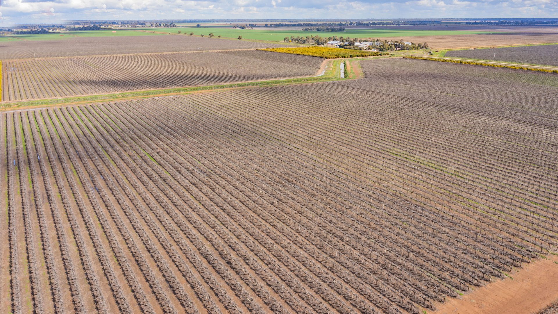 For Sale - 126 & 127 Yate Road - New Property in Leeton - Real Estate by Jason Haines