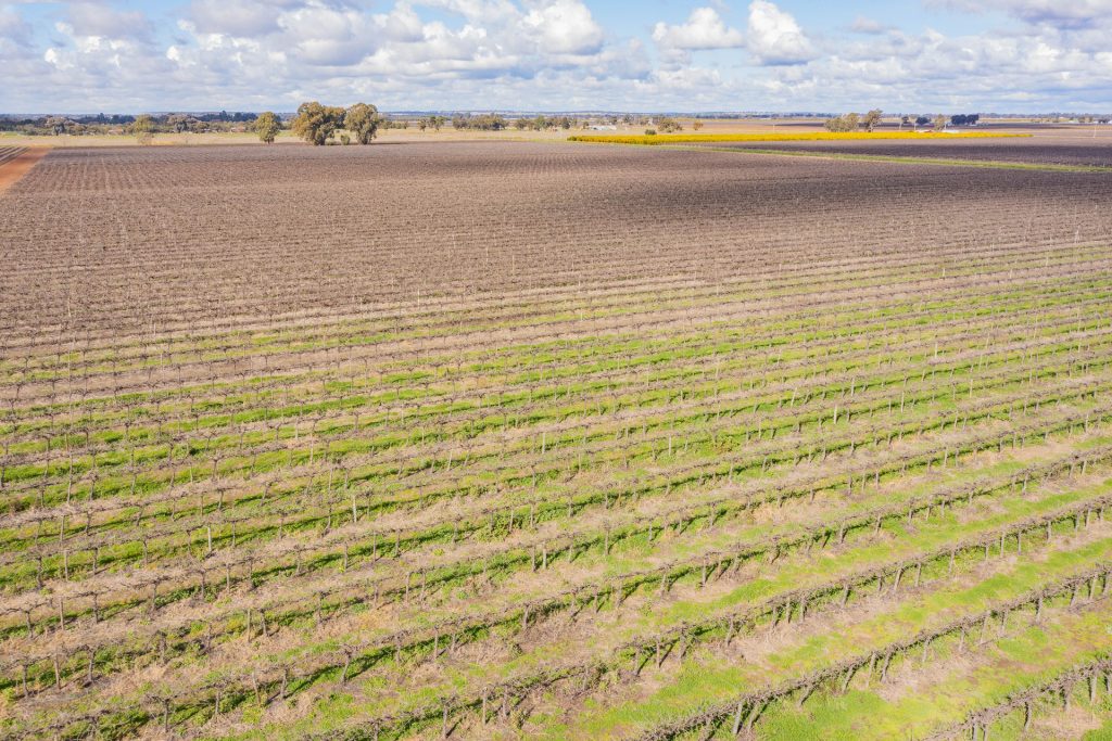 For Sale - 126 & 127 Yate Road - New Property in Leeton - Real Estate by Jason Haines