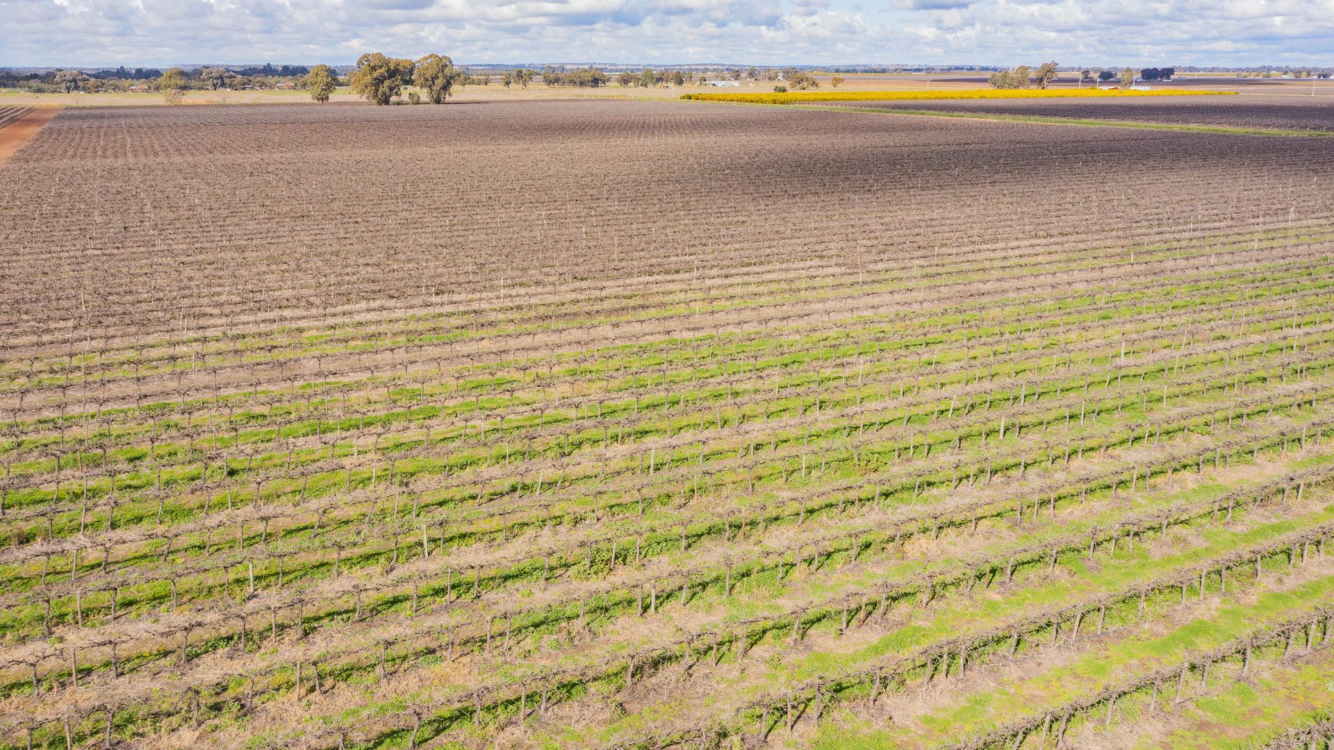 For Sale - 126 & 127 Yate Road - New Property in Leeton - Real Estate by Jason Haines