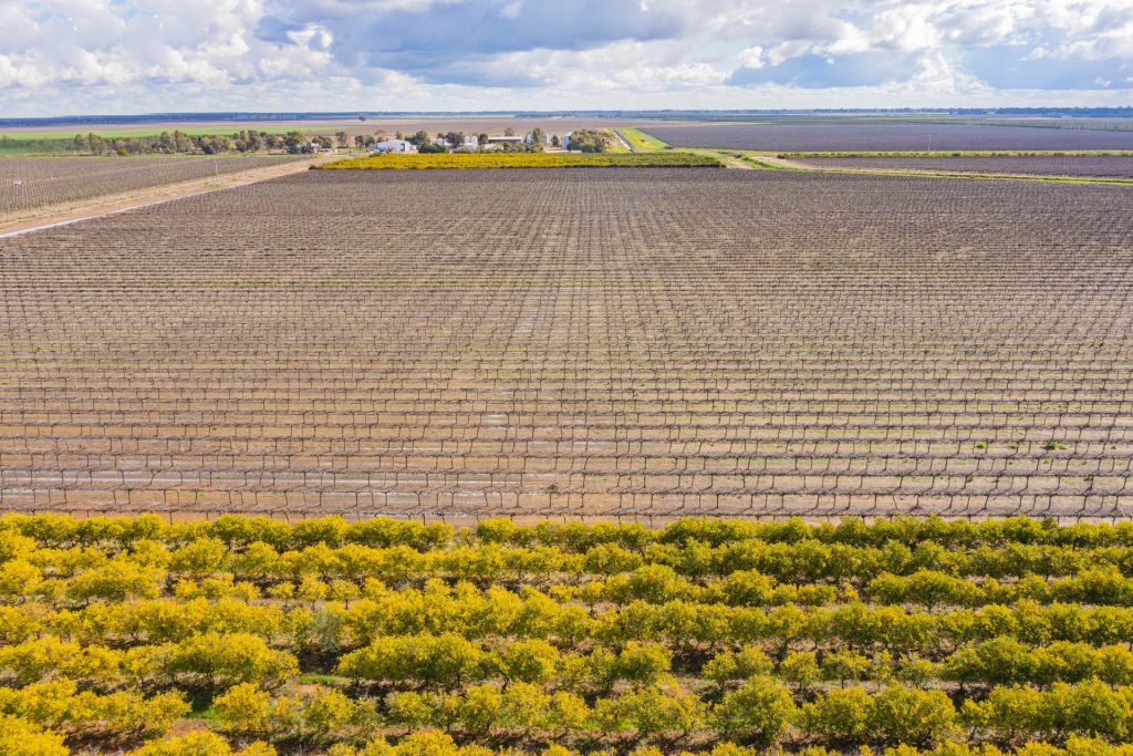 For Sale - 126 & 127 Yate Road - New Property in Leeton - Real Estate by Jason Haines