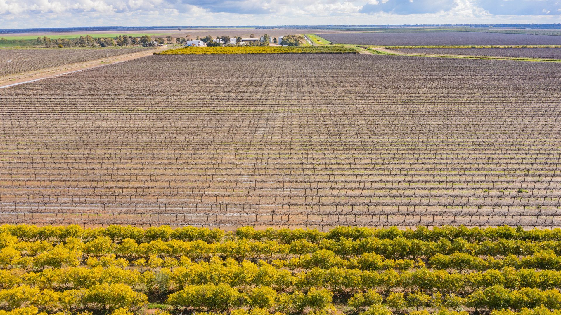 For Sale - 126 & 127 Yate Road - New Property in Leeton - Real Estate by Jason Haines
