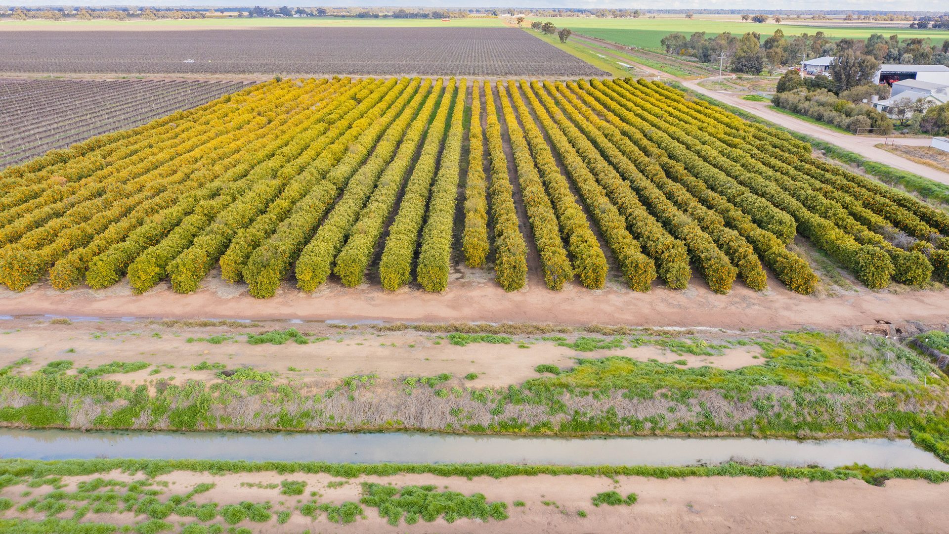 For Sale - 126 & 127 Yate Road - New Property in Leeton - Real Estate by Jason Haines