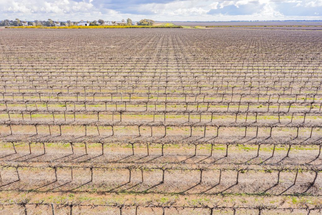 For Sale - 126 & 127 Yate Road - New Property in Leeton - Real Estate by Jason Haines