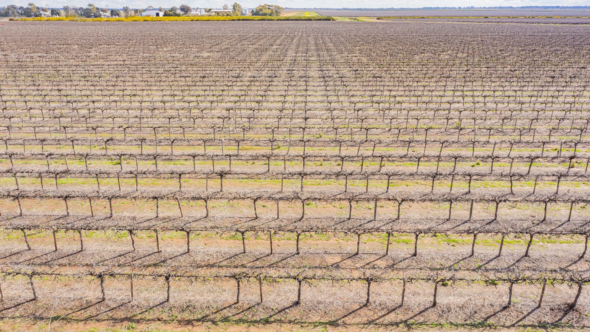 For Sale - 126 & 127 Yate Road - New Property in Leeton - Real Estate by Jason Haines