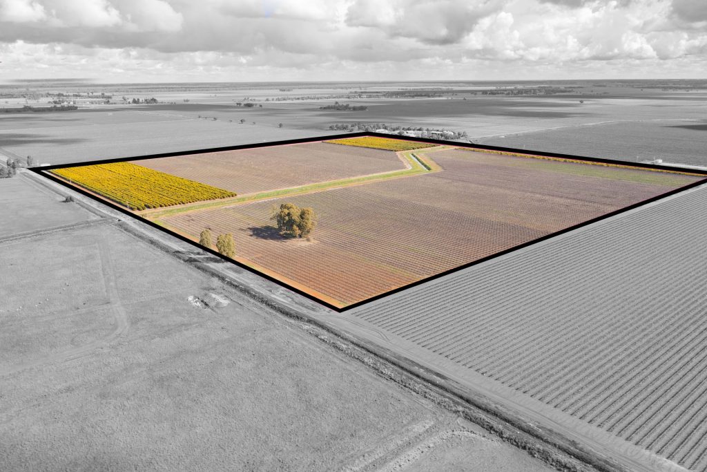 For Sale - 126 & 127 Yate Road - New Property in Leeton - Real Estate by Jason Haines