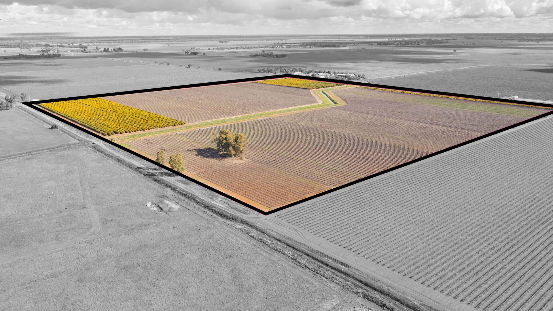 For Sale - 126 & 127 Yate Road - New Property in Leeton - Real Estate by Jason Haines