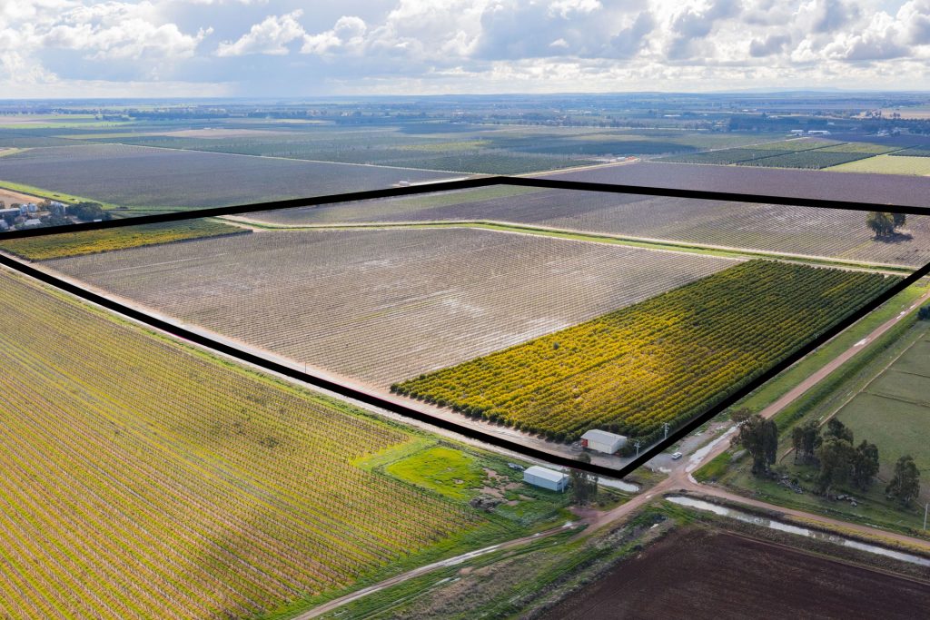 For Sale - 126 & 127 Yate Road - New Property in Leeton - Real Estate by Jason Haines