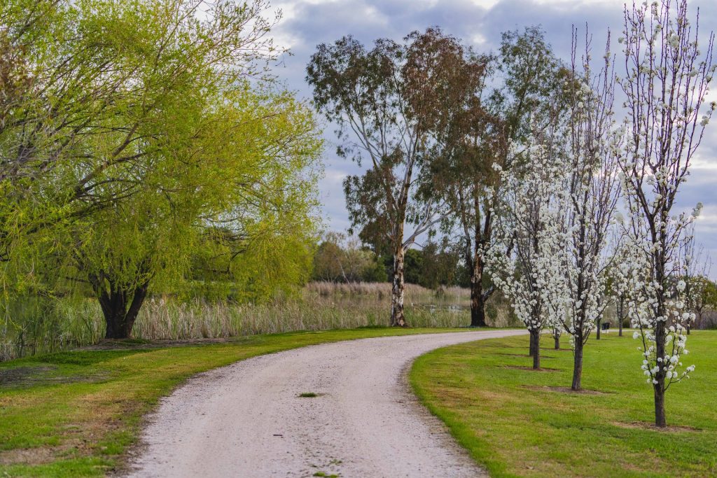 Sold - 189 Ross Road - New Property in Yoogali - Real Estate by Jason Haines