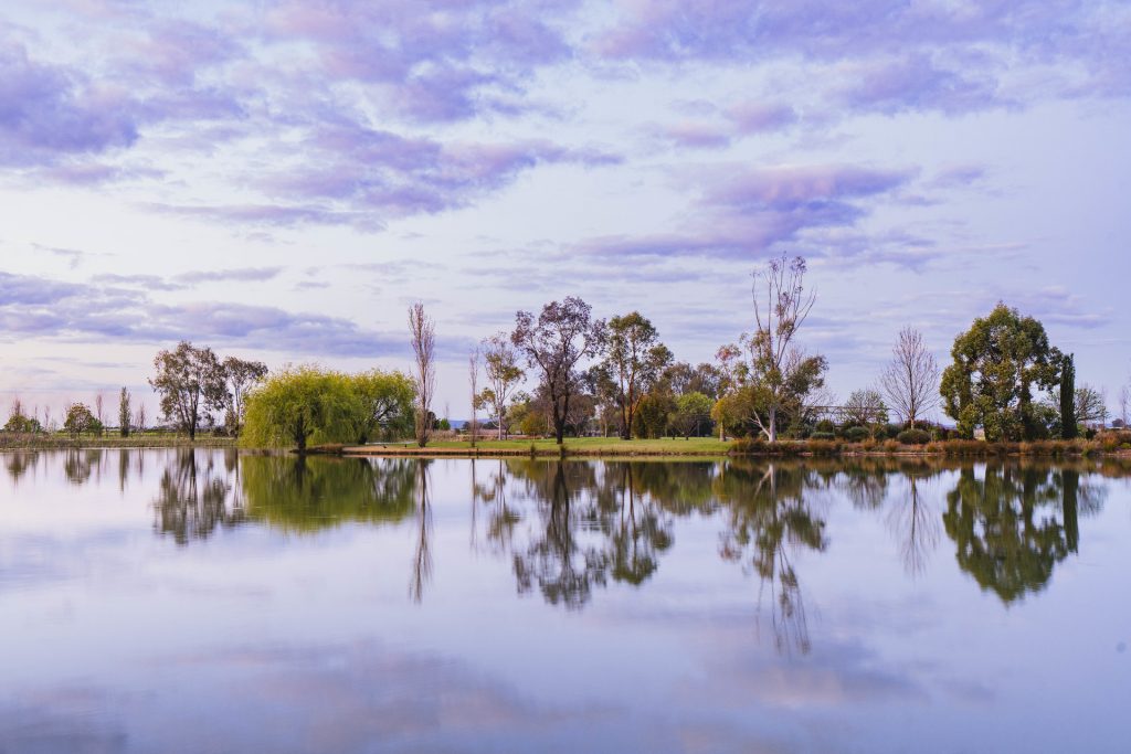 Sold - 189 Ross Road - New Property in Yoogali - Real Estate by Jason Haines