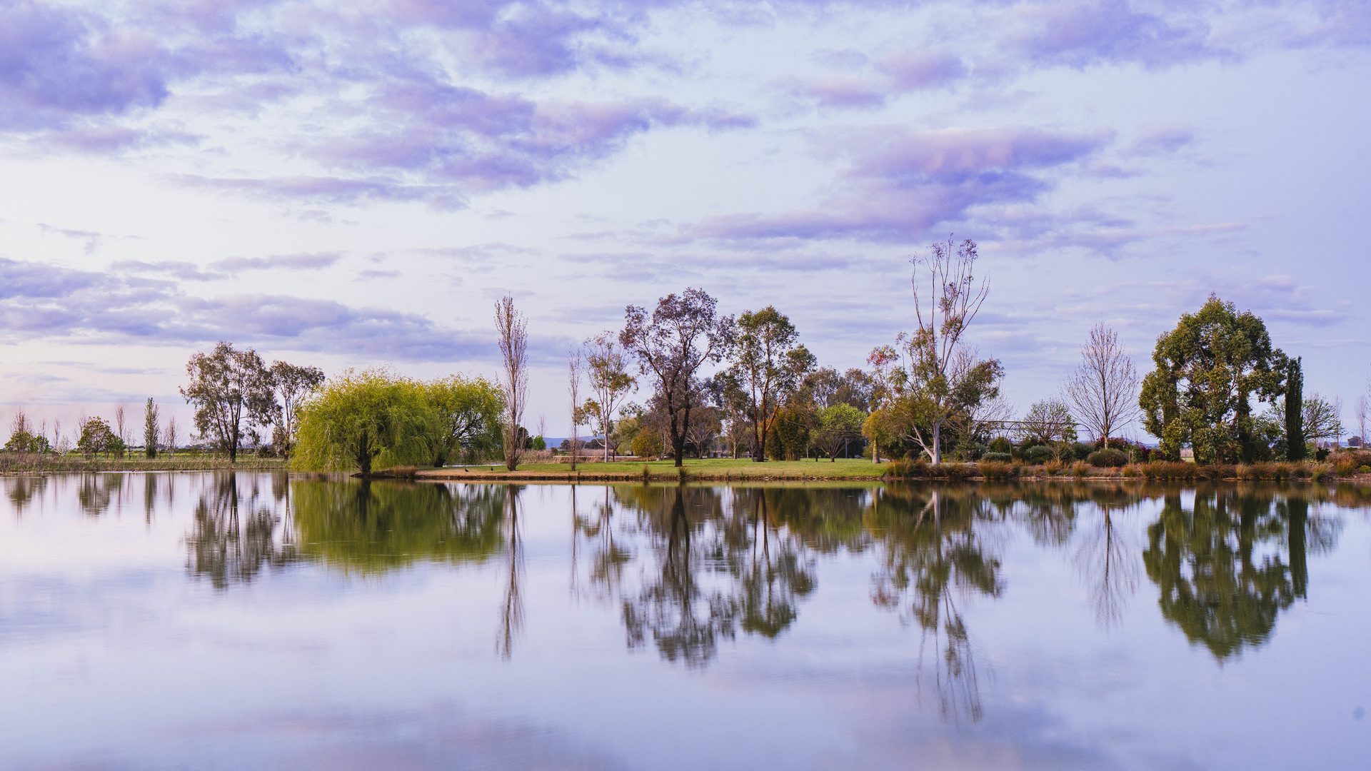 Sold - 189 Ross Road - New Property in Yoogali - Real Estate by Jason Haines