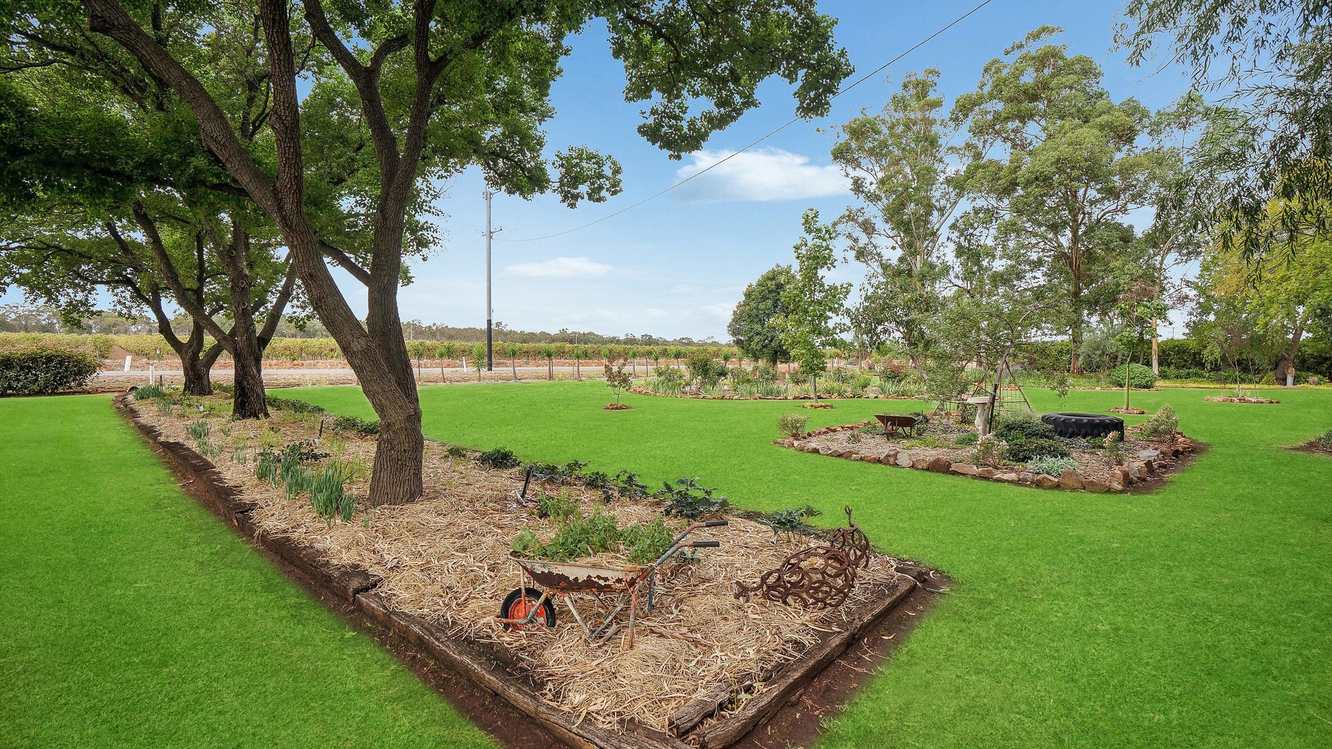 Sold - 60 Stringer Road - New Property in Leeton - Real Estate by Craig Tyrrell
