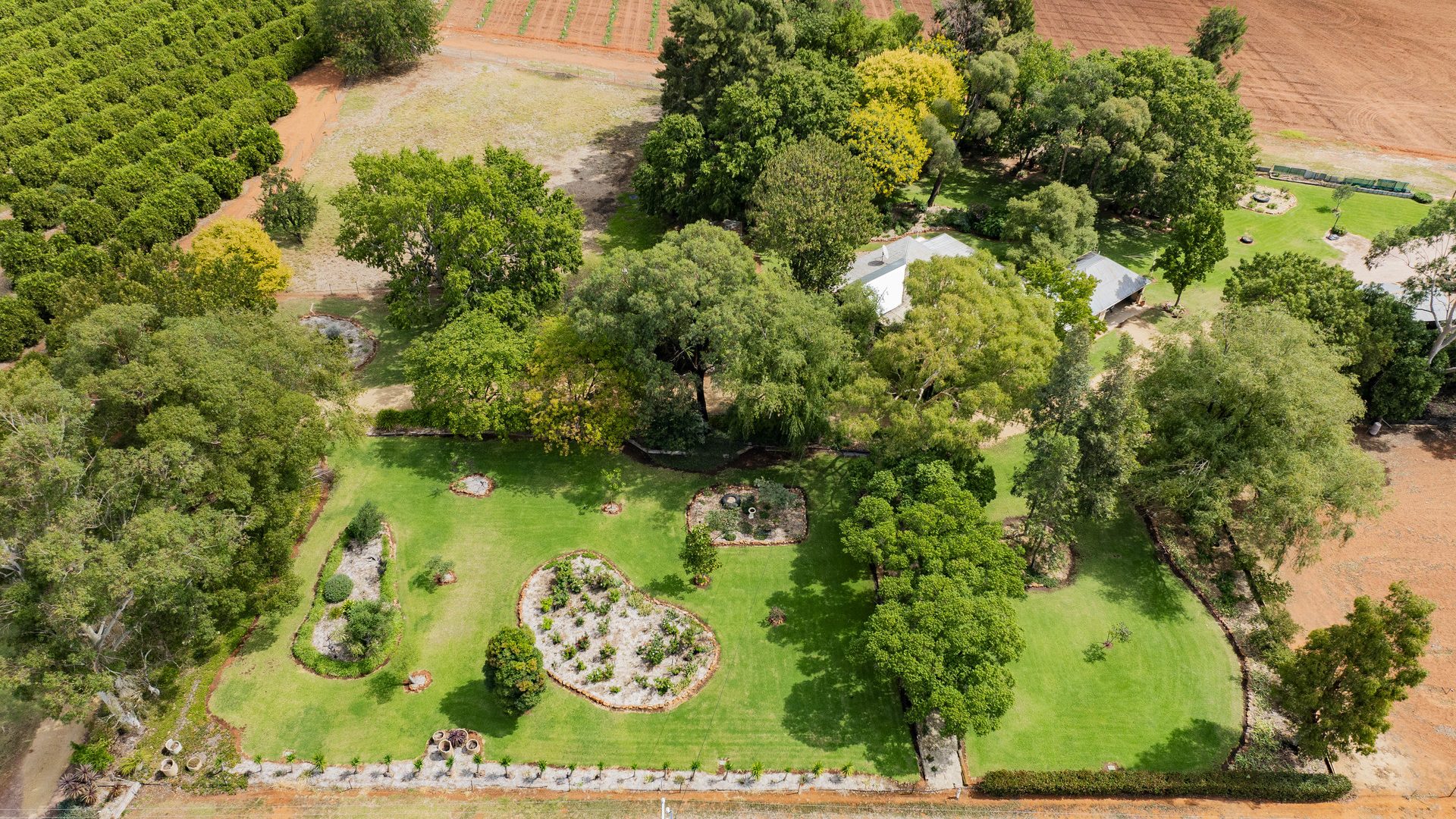 Sold - 60 Stringer Road - New Property in Leeton - Real Estate by Craig Tyrrell