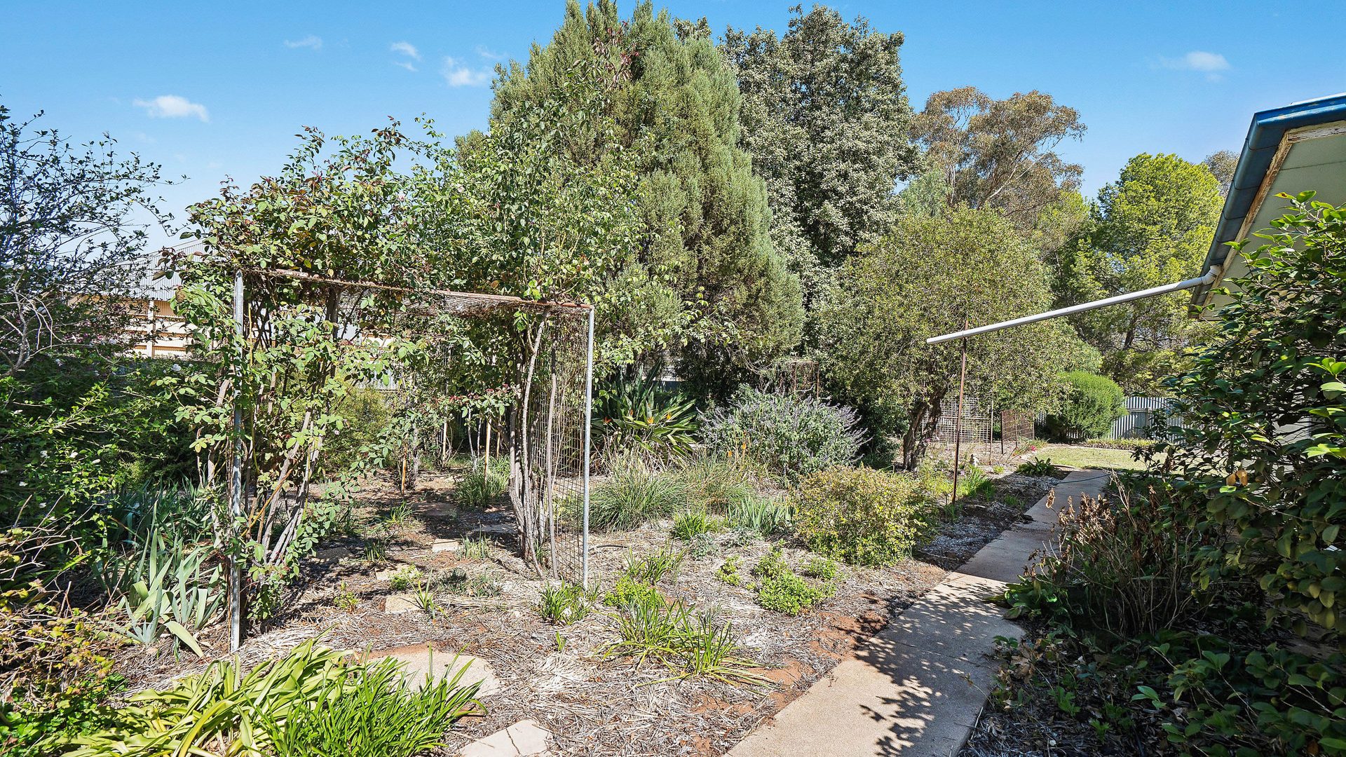 Sold - 9 Hume Street - New Property in Boree Creek - Real Estate by Leisa Williams