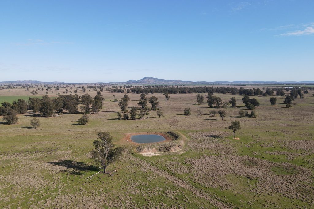 For Sale -  Wirrinya Road - New Property in Forbes - Real Estate by Andrew Pellow