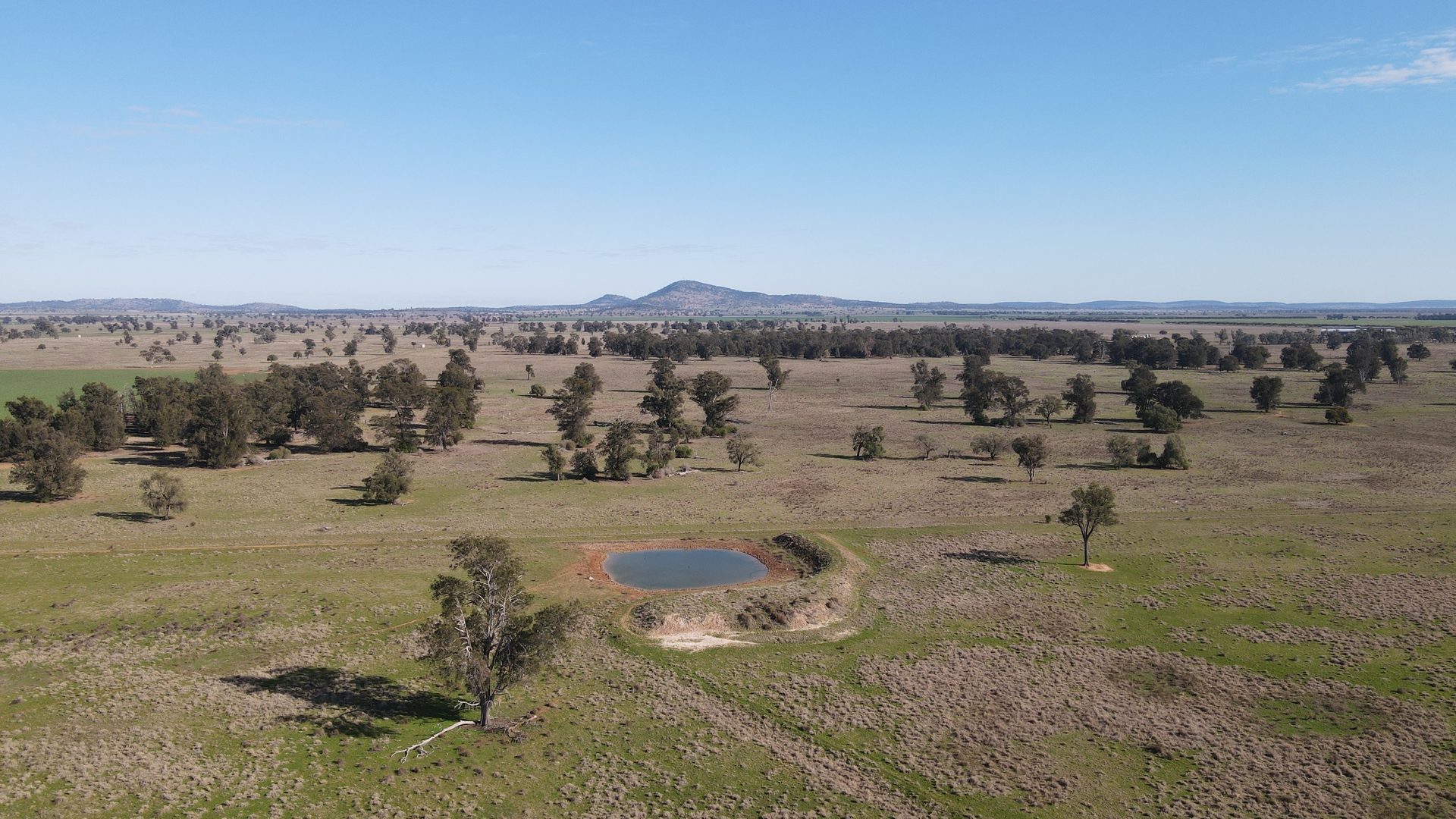 For Sale -  Wirrinya Road - New Property in Forbes - Real Estate by Andrew Pellow