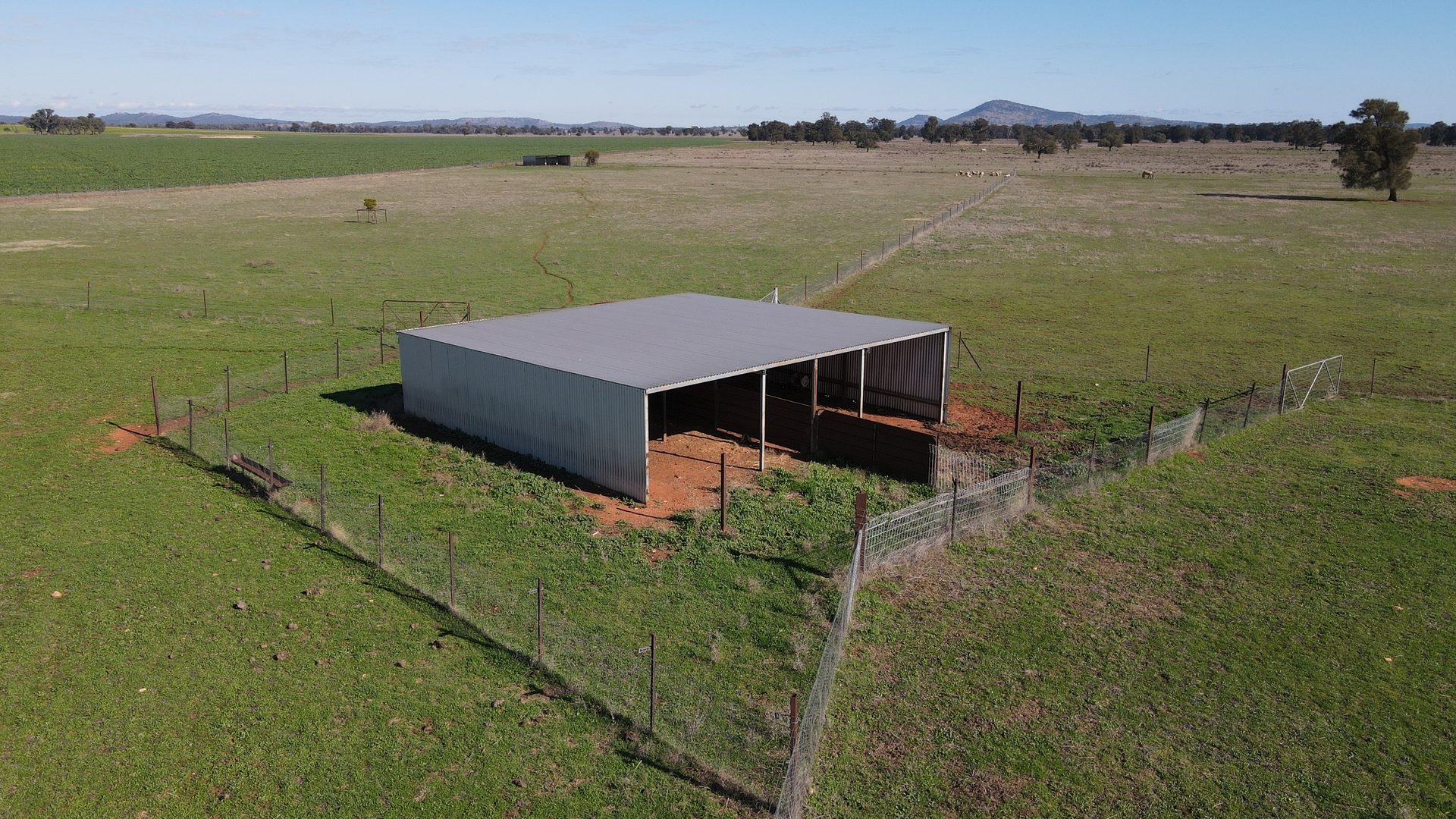 For Sale -  Wirrinya Road - New Property in Forbes - Real Estate by Andrew Pellow
