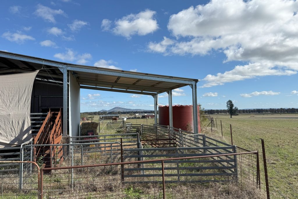 For Sale -  Wirrinya Road - New Property in Forbes - Real Estate by Andrew Pellow
