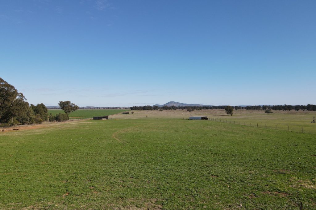 For Sale -  Wirrinya Road - New Property in Forbes - Real Estate by Andrew Pellow