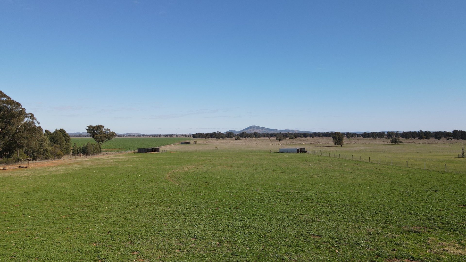 For Sale -  Wirrinya Road - New Property in Forbes - Real Estate by Andrew Pellow