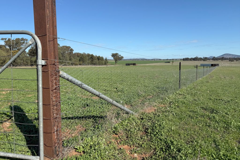For Sale -  Wirrinya Road - New Property in Forbes - Real Estate by Andrew Pellow