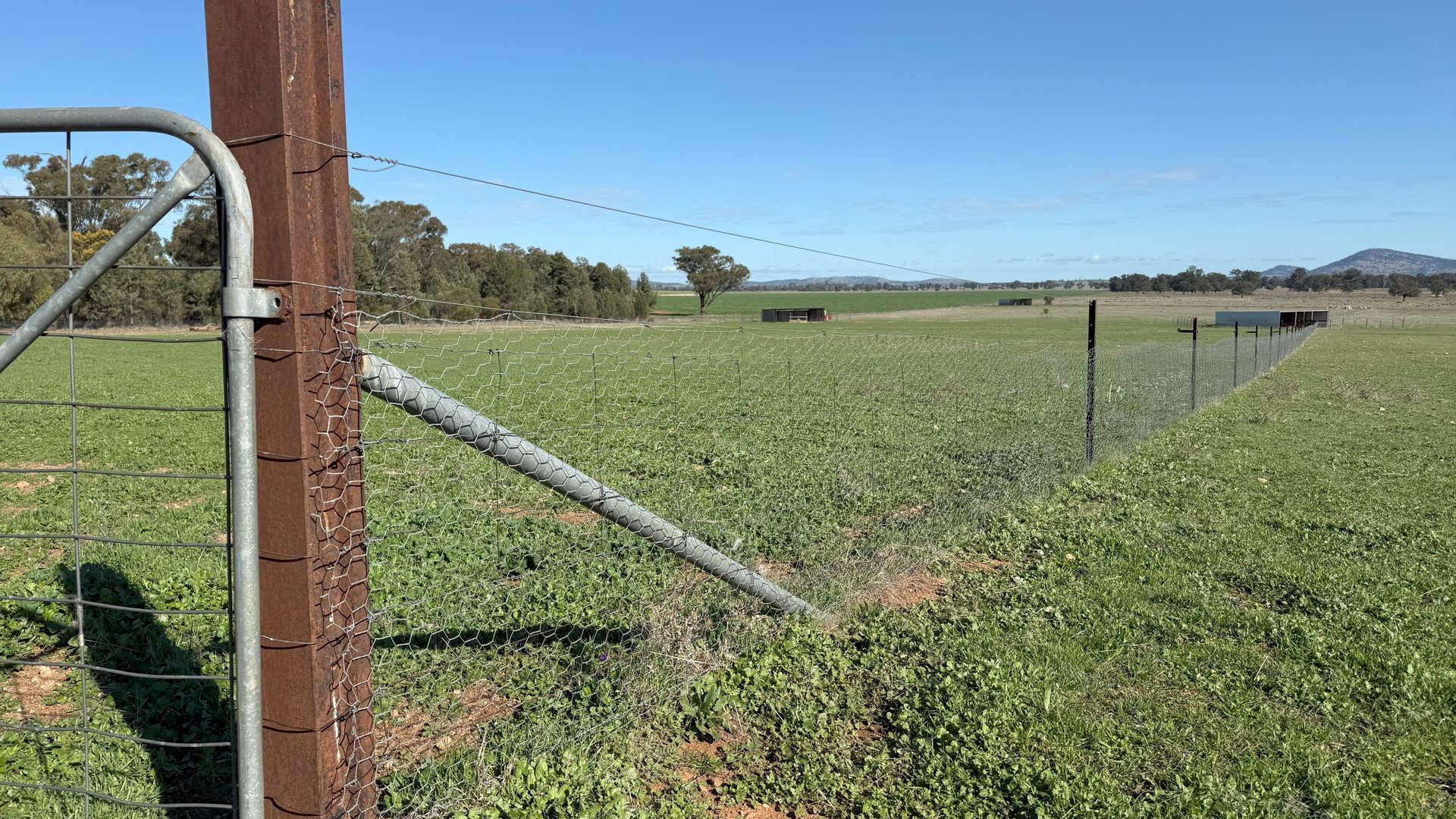 For Sale -  Wirrinya Road - New Property in Forbes - Real Estate by Andrew Pellow