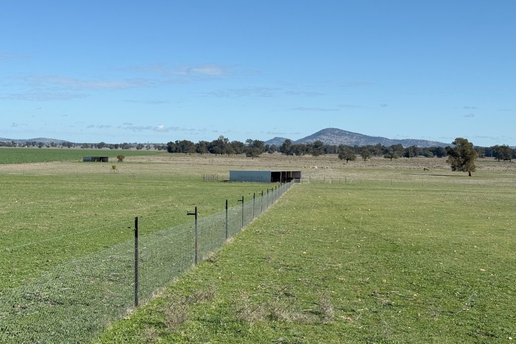 For Sale -  Wirrinya Road - New Property in Forbes - Real Estate by Andrew Pellow