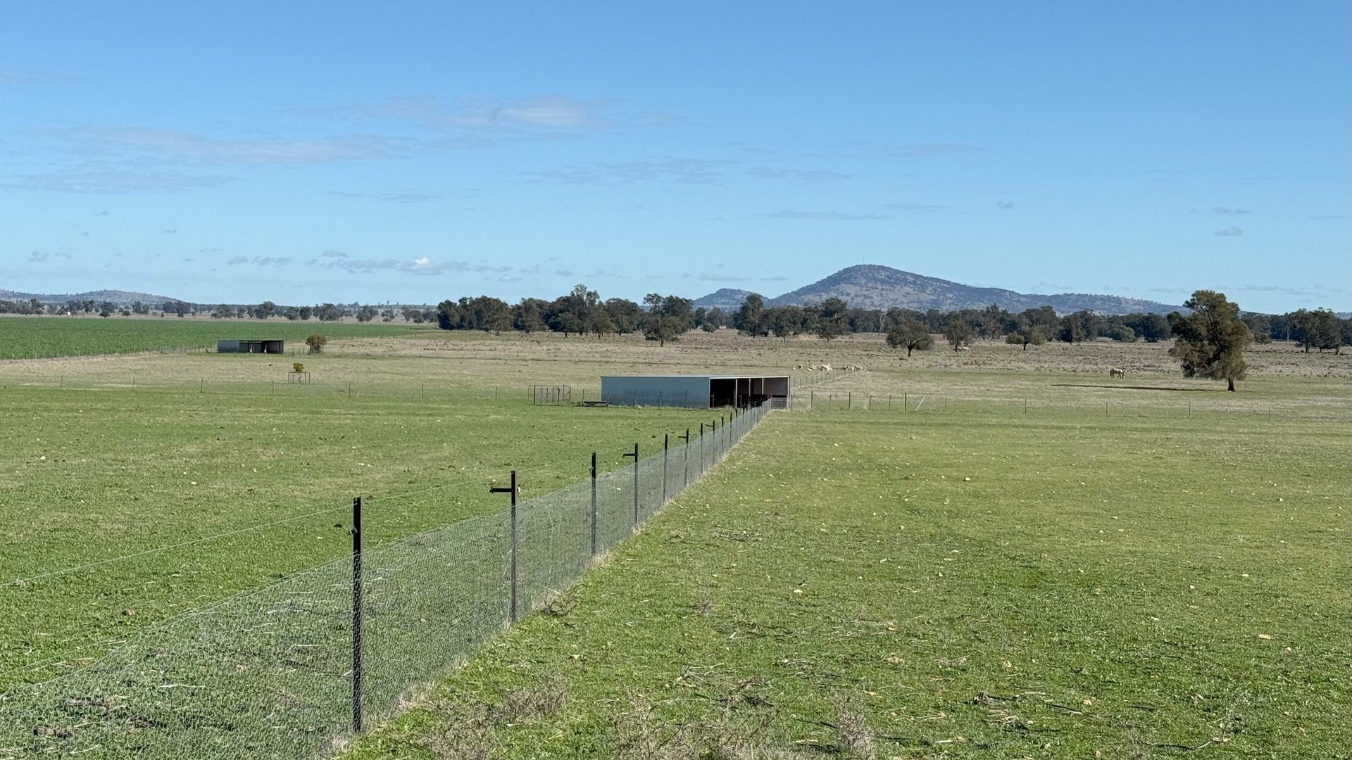 For Sale -  Wirrinya Road - New Property in Forbes - Real Estate by Andrew Pellow