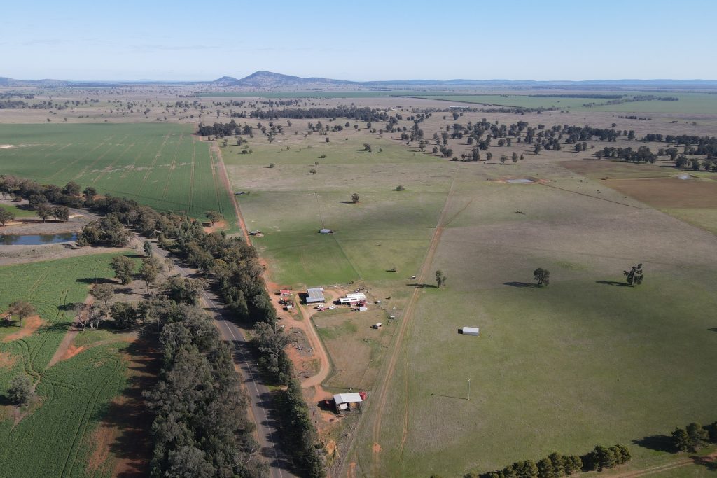 For Sale -  Wirrinya Road - New Property in Forbes - Real Estate by Andrew Pellow