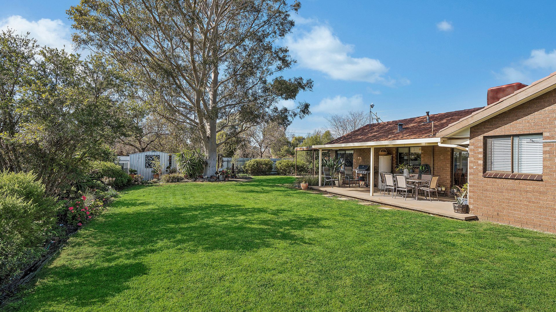 Sold - 37 Lillypilly Road - New Property in Leeton - Real Estate by Julie Valenzisi