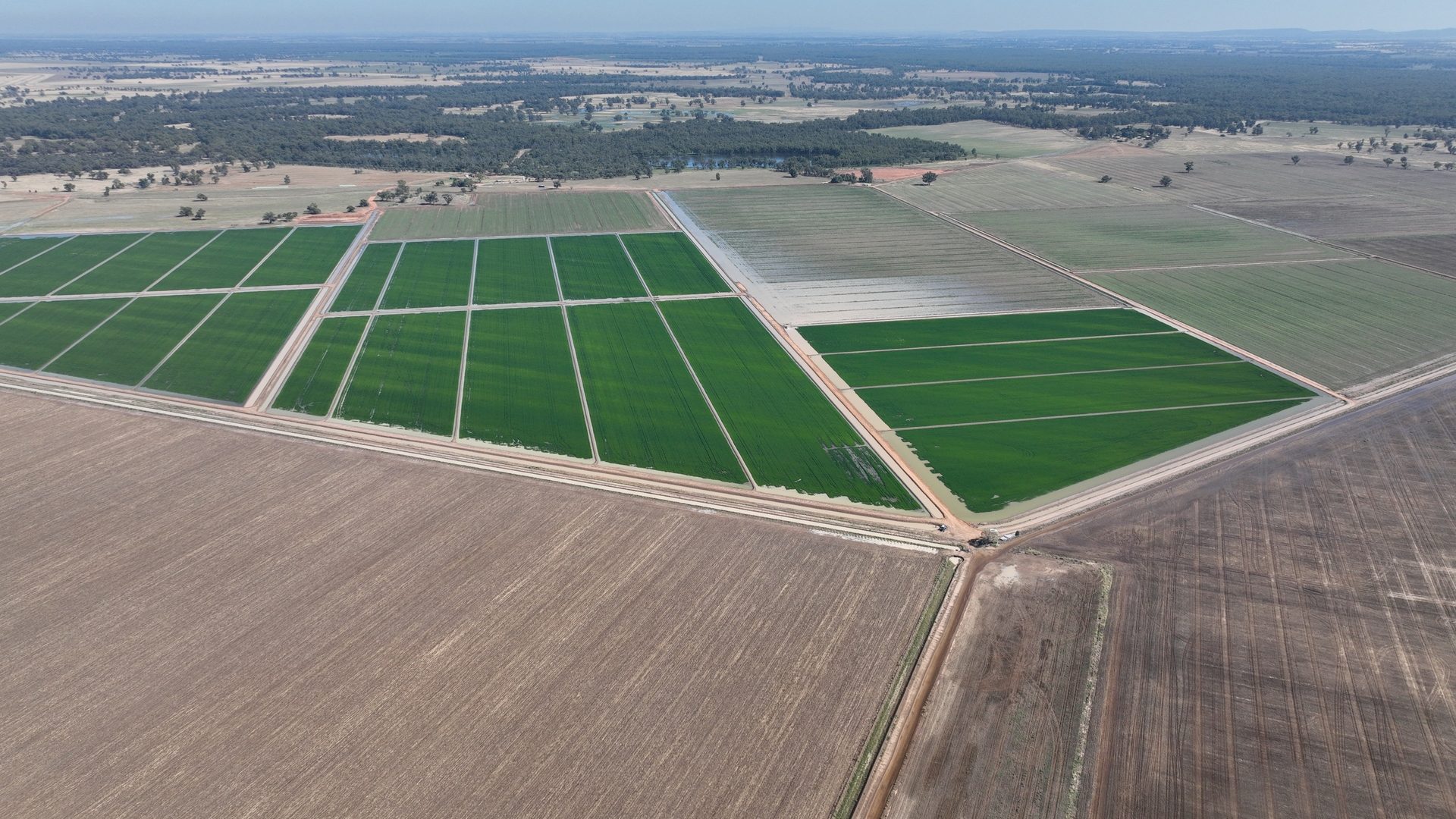 For Sale - 10755 Sturt Highway - New Property in Narrandera - Real Estate by Jason Haines