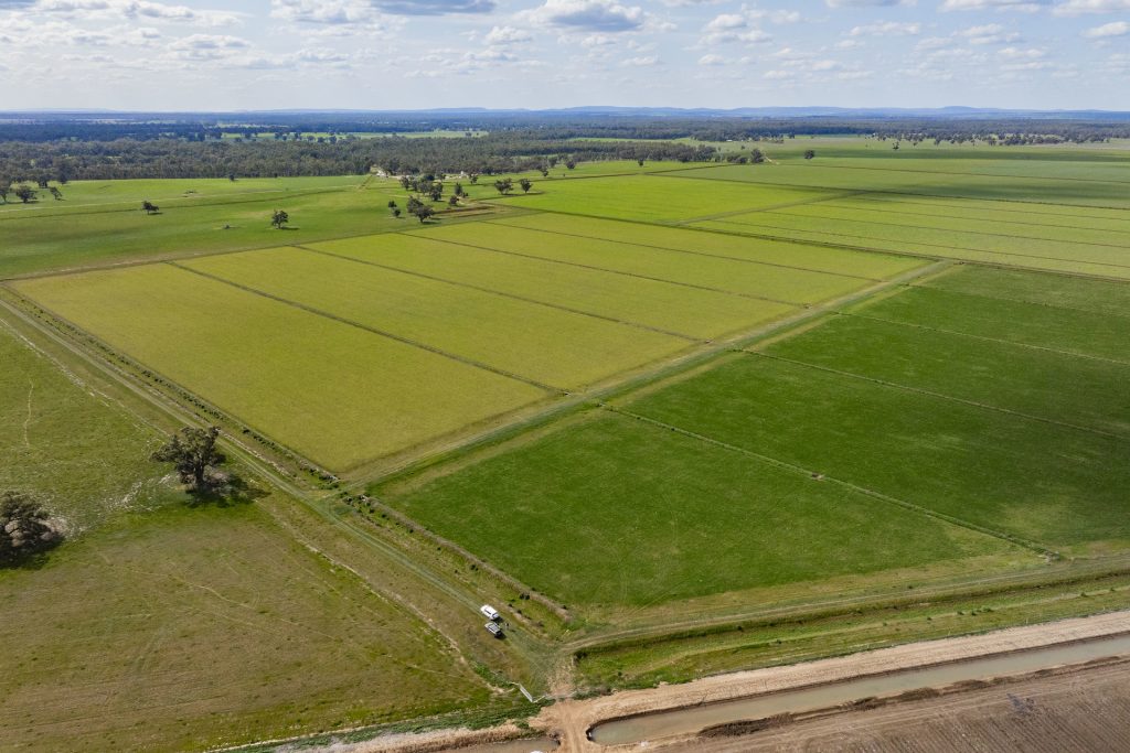 For Sale - 10755 Sturt Highway - New Property in Narrandera - Real Estate by Jason Haines