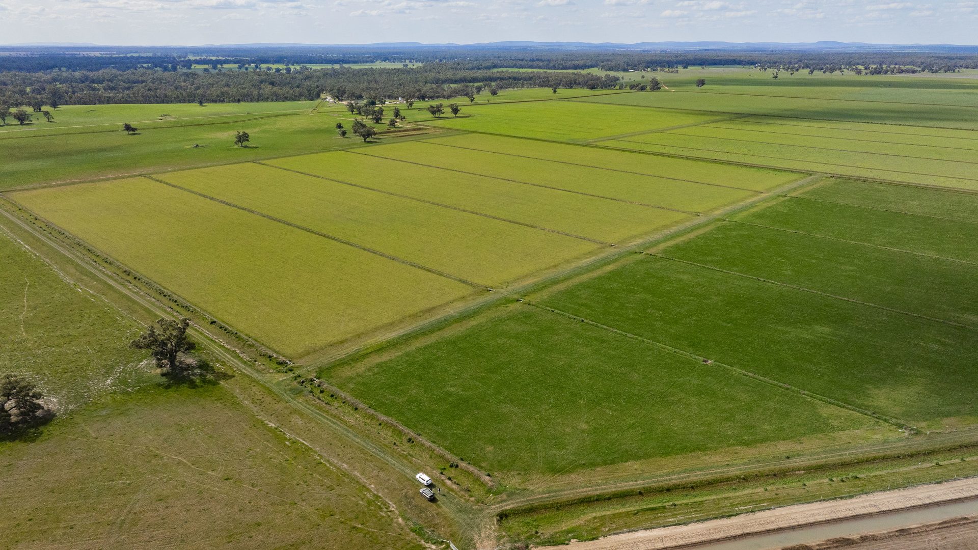 For Sale - 10755 Sturt Highway - New Property in Narrandera - Real Estate by Jason Haines