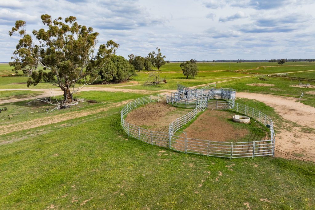 For Sale - 10755 Sturt Highway - New Property in Narrandera - Real Estate by Jason Haines