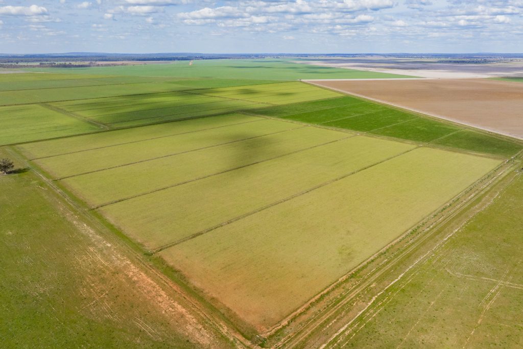 For Sale - 10755 Sturt Highway - New Property in Narrandera - Real Estate by Jason Haines
