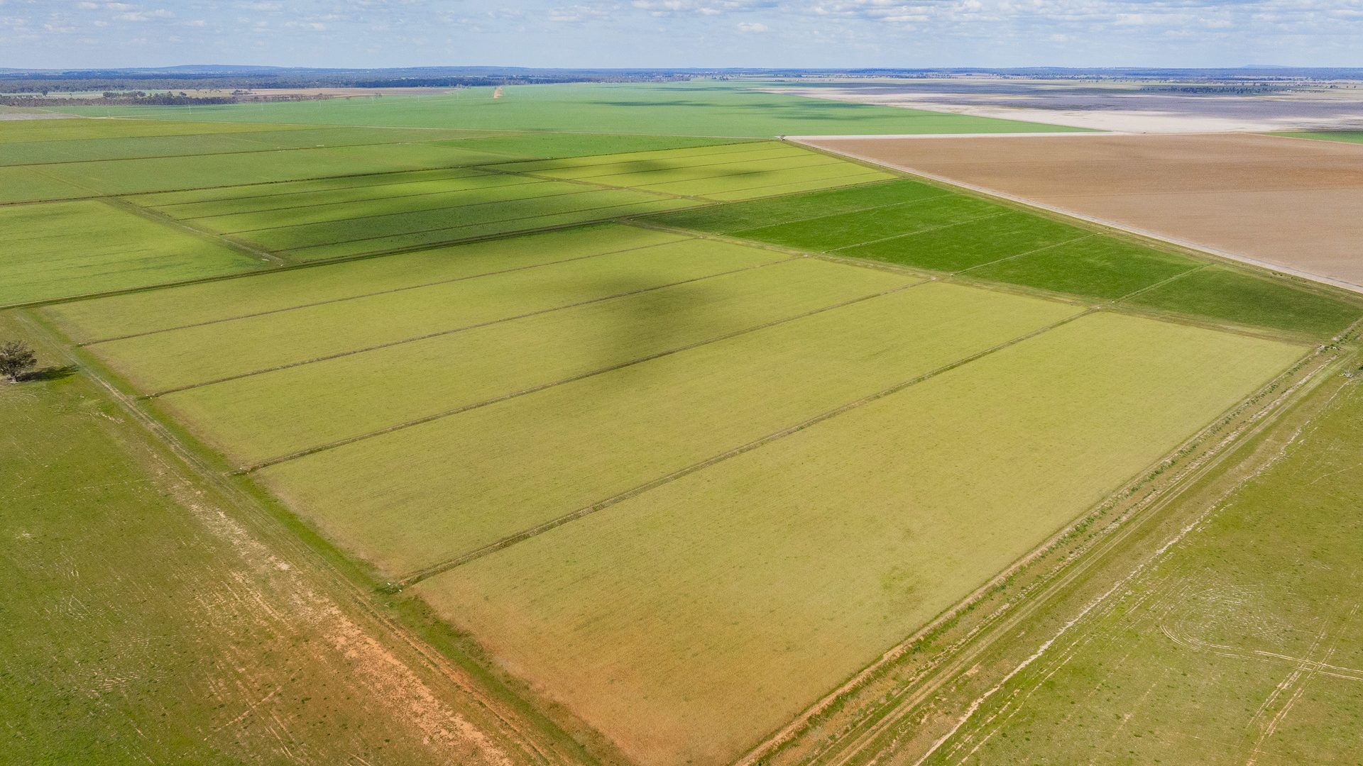 For Sale - 10755 Sturt Highway - New Property in Narrandera - Real Estate by Jason Haines